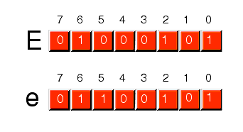 ASCII code \ , Backslash , reverse slash, American Standard Code for  Information Interchange, The complete ASCII table, characters,letters,  vowels with accents, consonants, signs, symbols, numbers backslash,  reverse, slash,ascii,92, ascii art, ascii